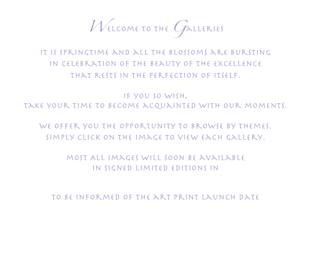 Welcome to the Galleries
it is springtime and all the blossoms are bursting
in celebration of the beauty of the excellence
that rests in the perfection of itself.

if you so wish,
take your time to become acquainted with our moments.

we offer you the opportunity to browse by themes.
simply click on the image to view each gallery.

most All images will soon be available
in signed limited editions in
“the millennium moment series.”

to be informed of the art print launch date
please leave us your e-mail.




